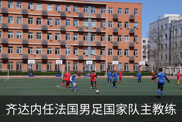 齐达内任法国男足国家队主教练
